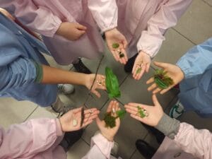 Alla scoperta delle cellule